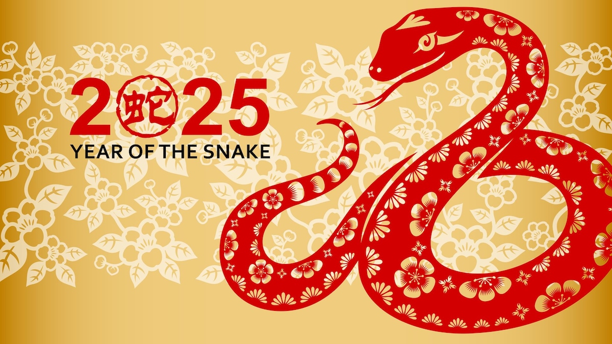 2025 Chinese Zodiac Signs set for success and those that may face