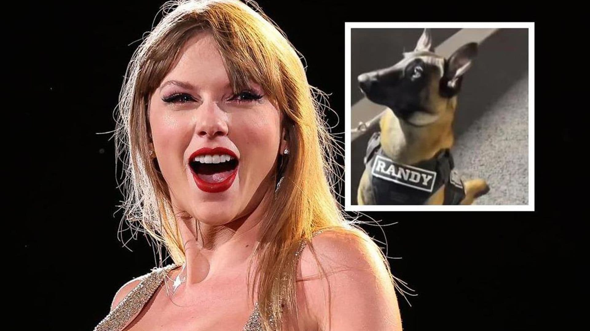 Pet of the Week: This dog stole the show at Taylor Swift’s concert in Mexico for his friendship bracelets