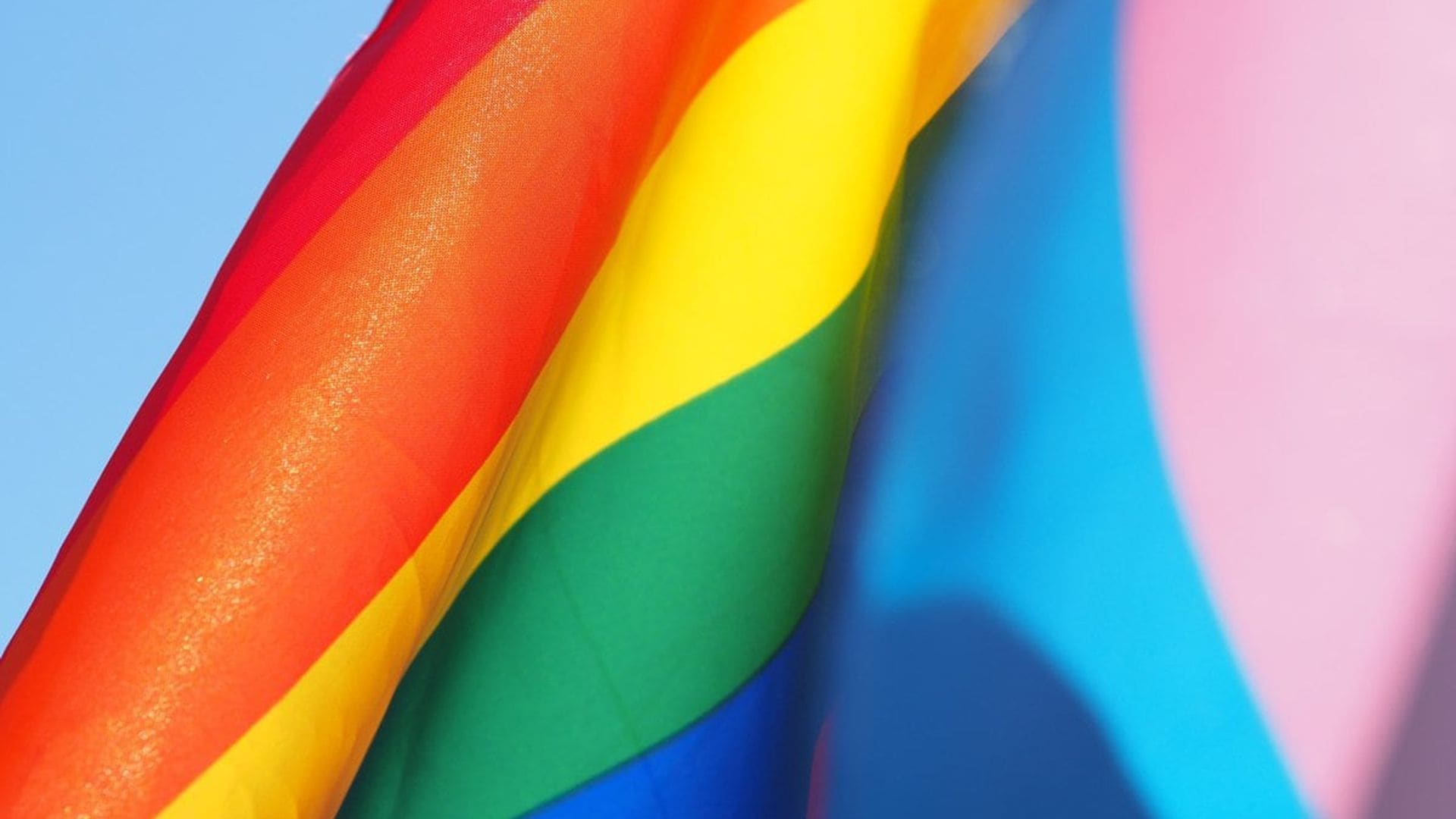 Pride Month shows: Celebrate the community enjoying the best LGBTQ+ programming