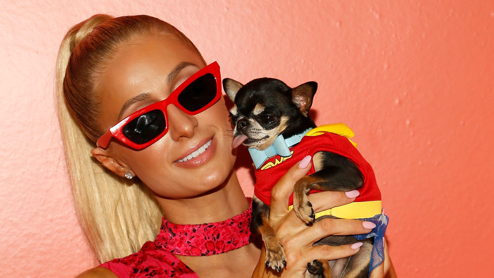 Paris Hilton aids Los Angeles wildfire victims; volunteers at animal shelter