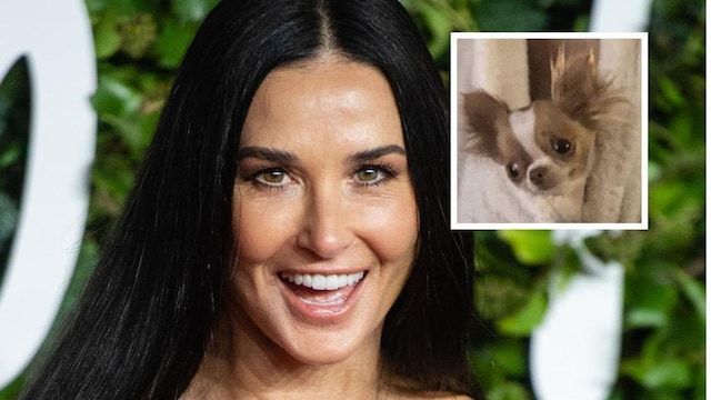 Demi Moore's dog