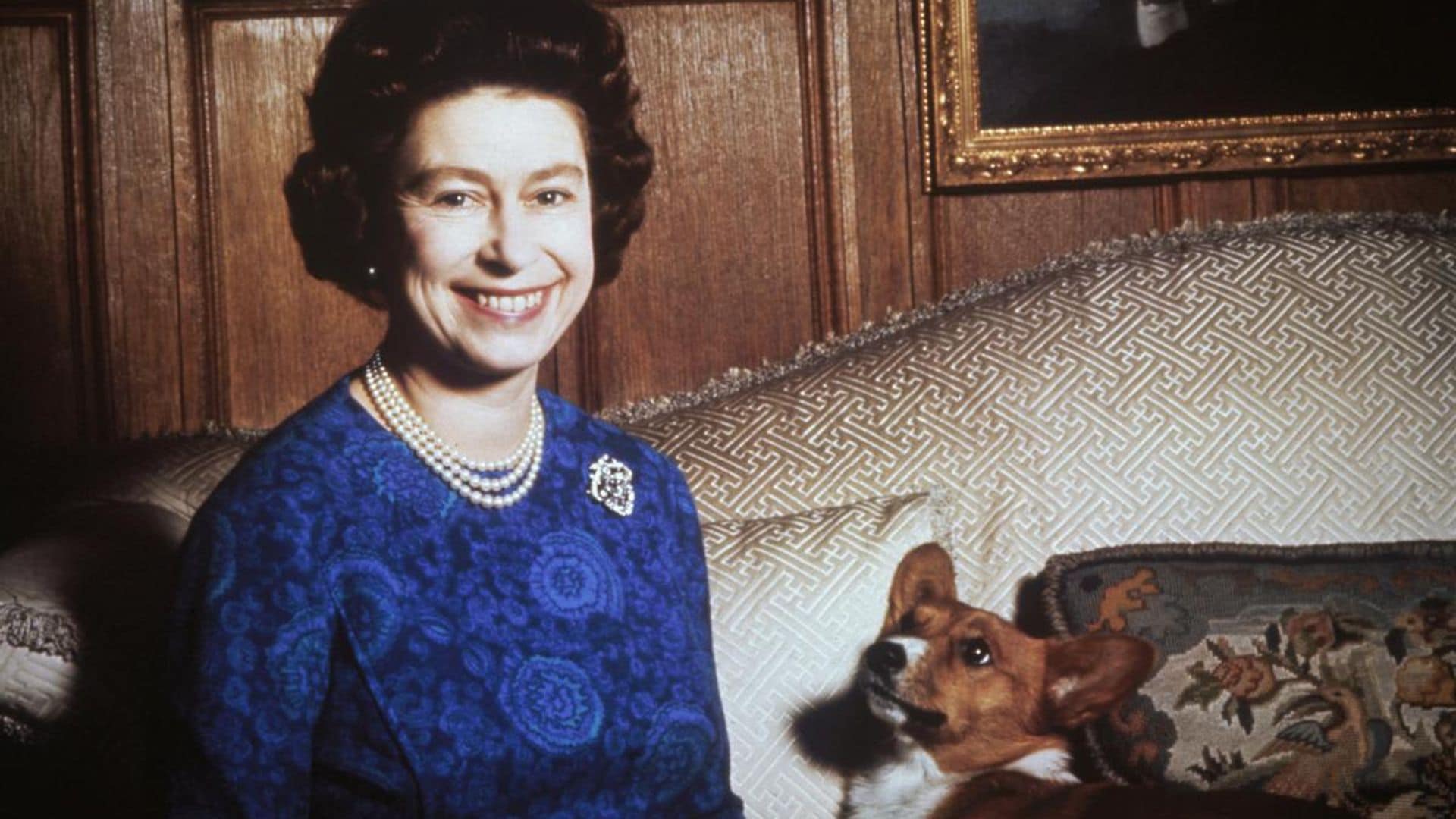 Queen Elizabeth’s corgis have a new home: Find out who is taking the royal dogs