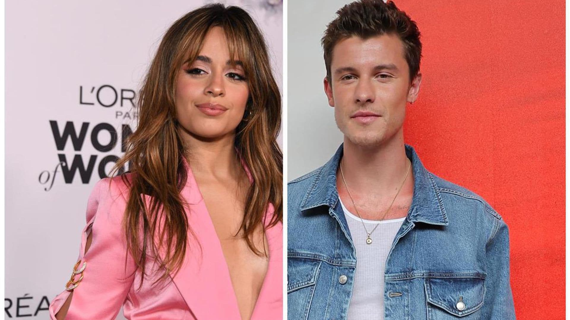 Camila Cabello ‘decided to end things’ with Shawn Mendes after brief romance: Report