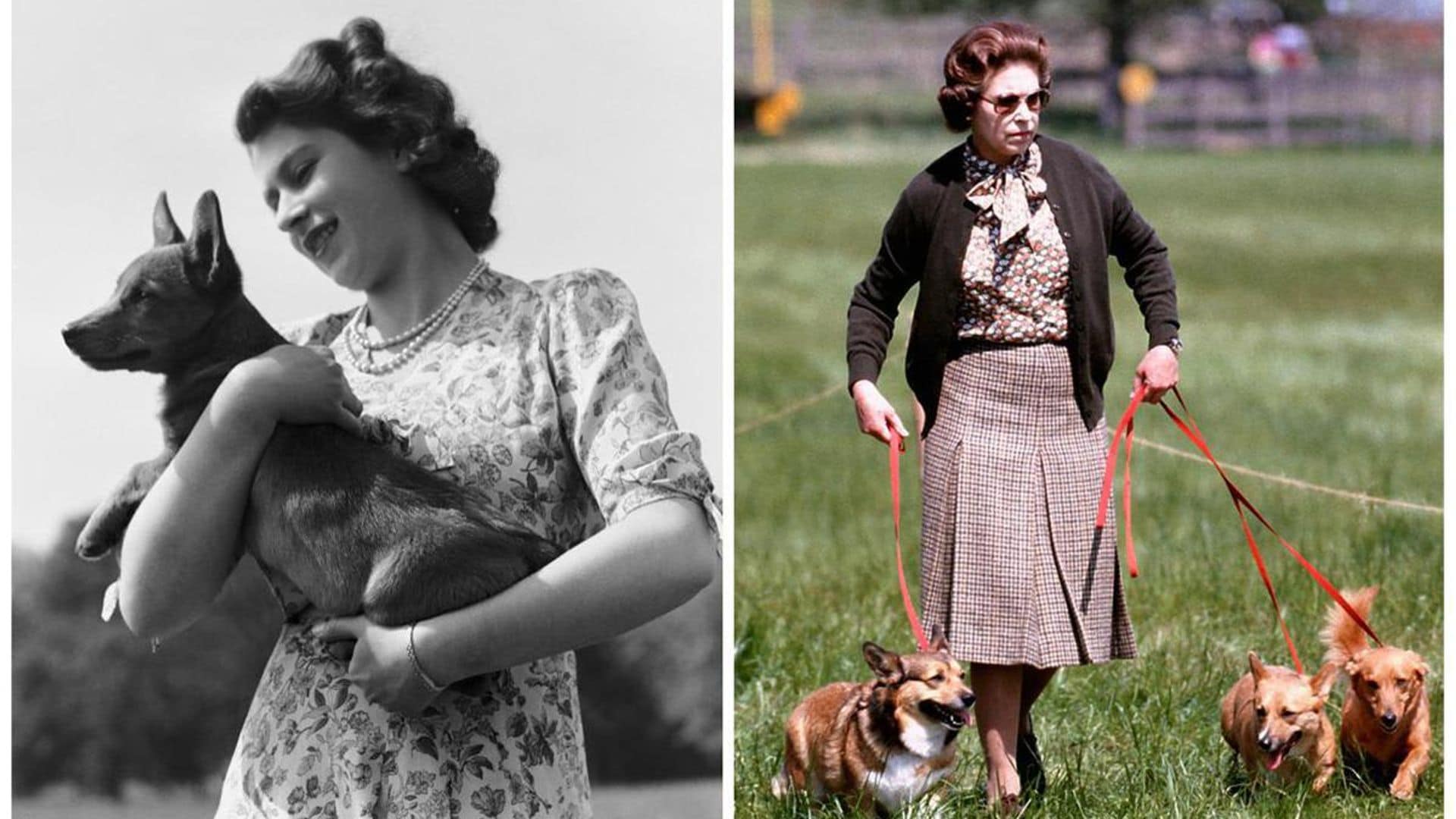 Queen Elizabeth used to write letters pretending they were from her corgis