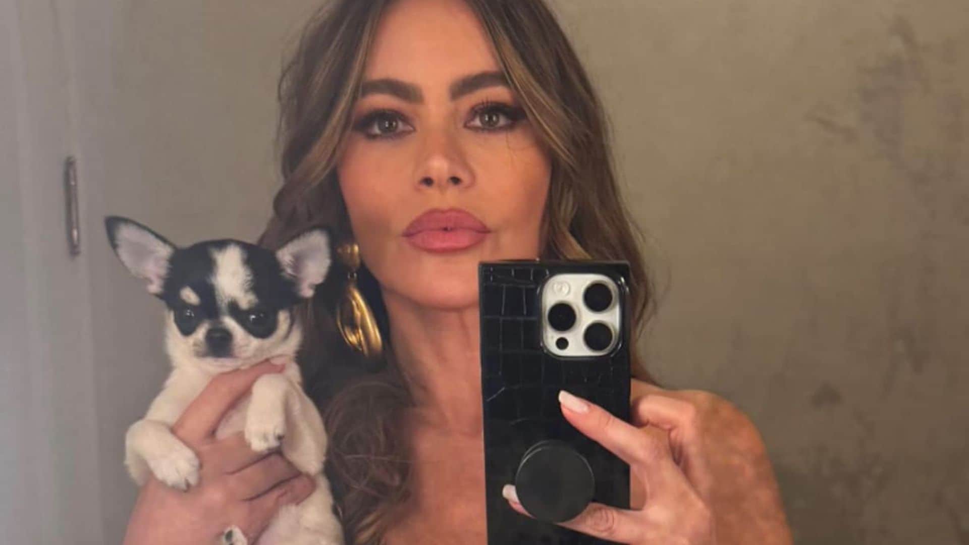 Sofia Vergara introduces her new puppy Amore, after giving full custody of Bubbles to Joe Manganiello