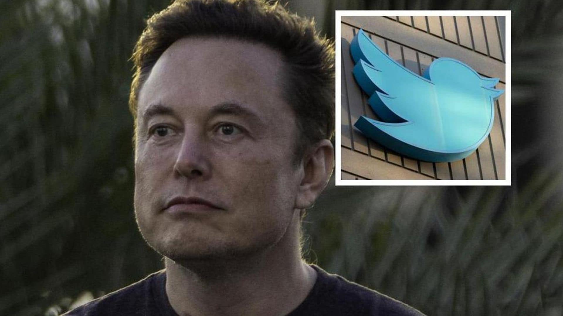 Elon Musk takes control of Twitter: Fires top executives and gives $122 million in payouts