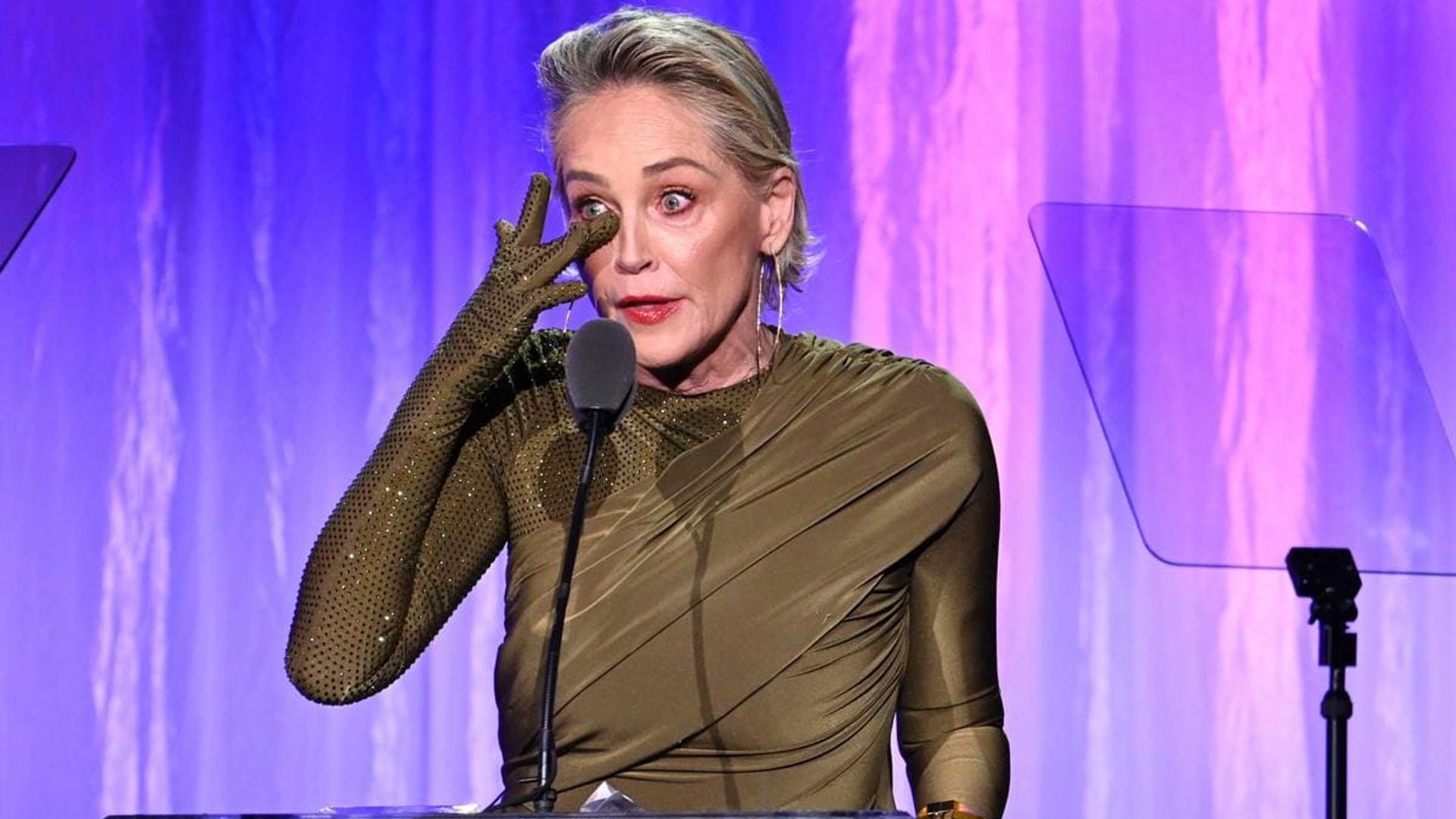 Sharon Stone says she lost half her money with the ‘banking thing’