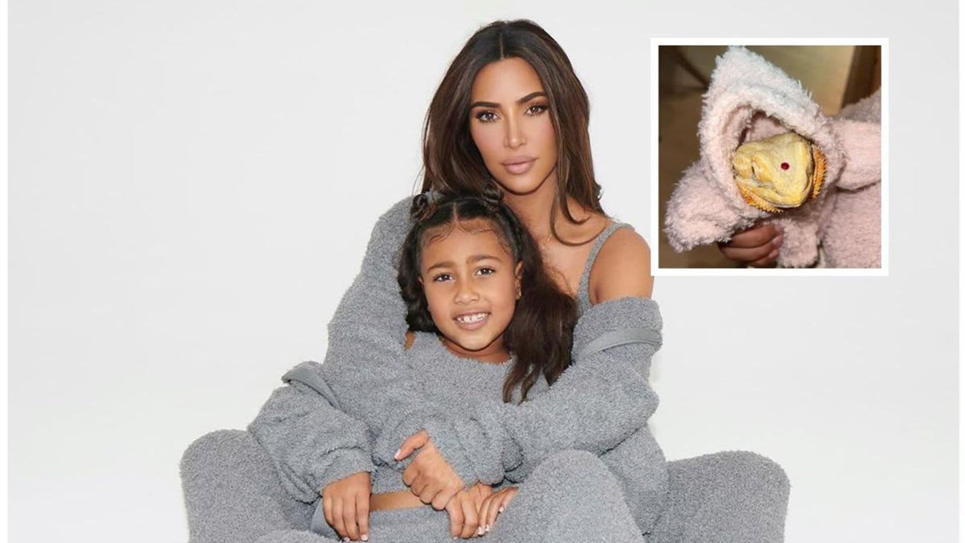 North West’s bearded dragon named Speed has tiny sets of Kim Kardashian’s Skims