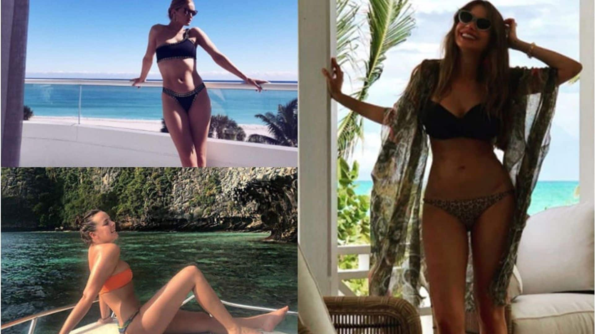 Celebrity bikini bodies: The stars and royals show off their figures in  swimsuits