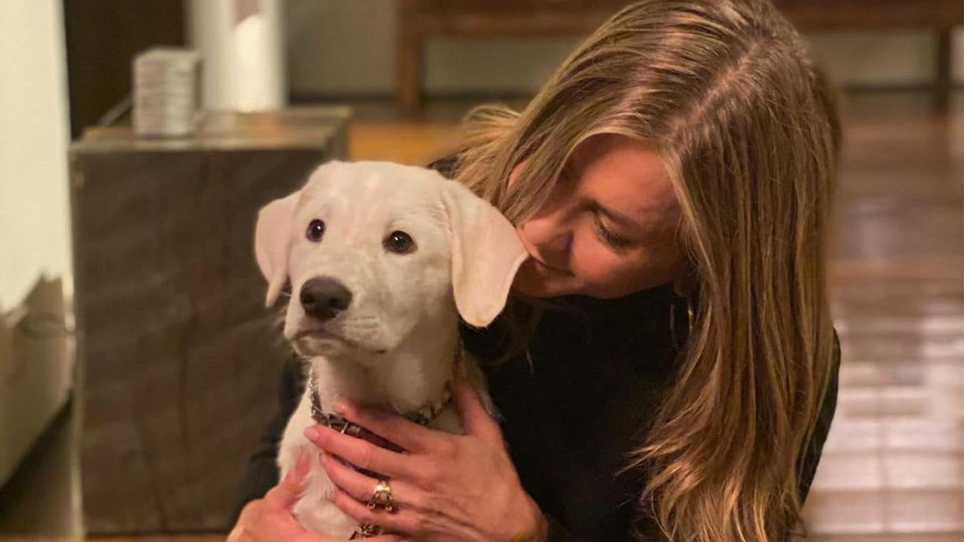 Jennifer Aniston is the ultimate dog mom to new rescue pup: See the photos!