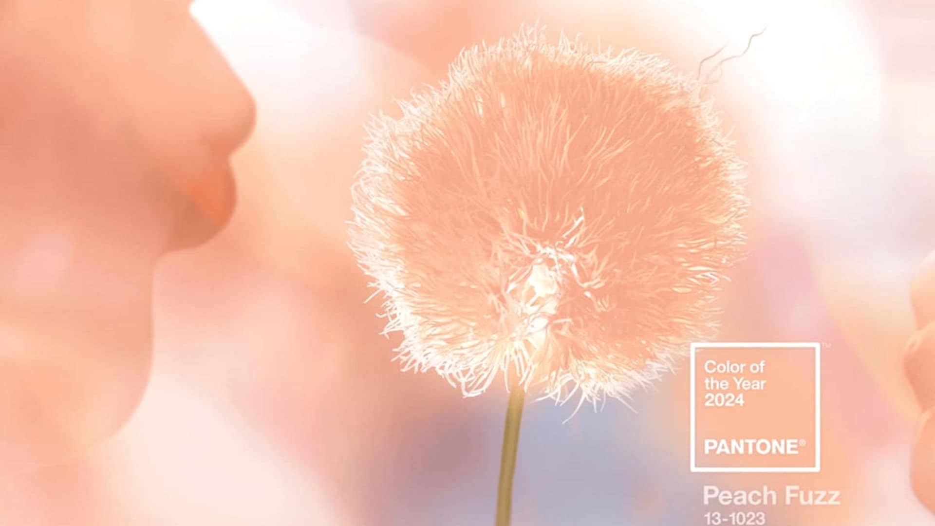 Pantone names Peach Fuzz as the color of 2024: What does this tone mean?