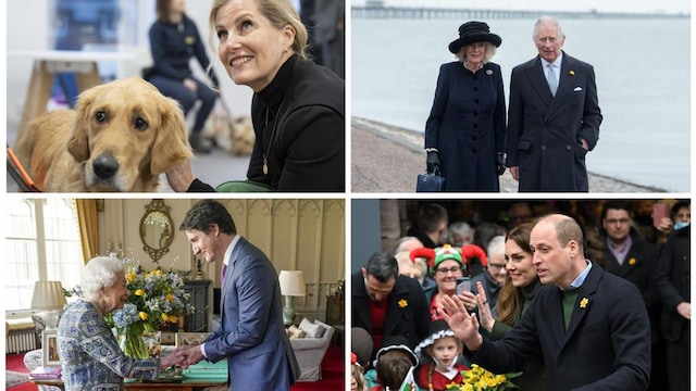 Royals photos of the week - March 7th