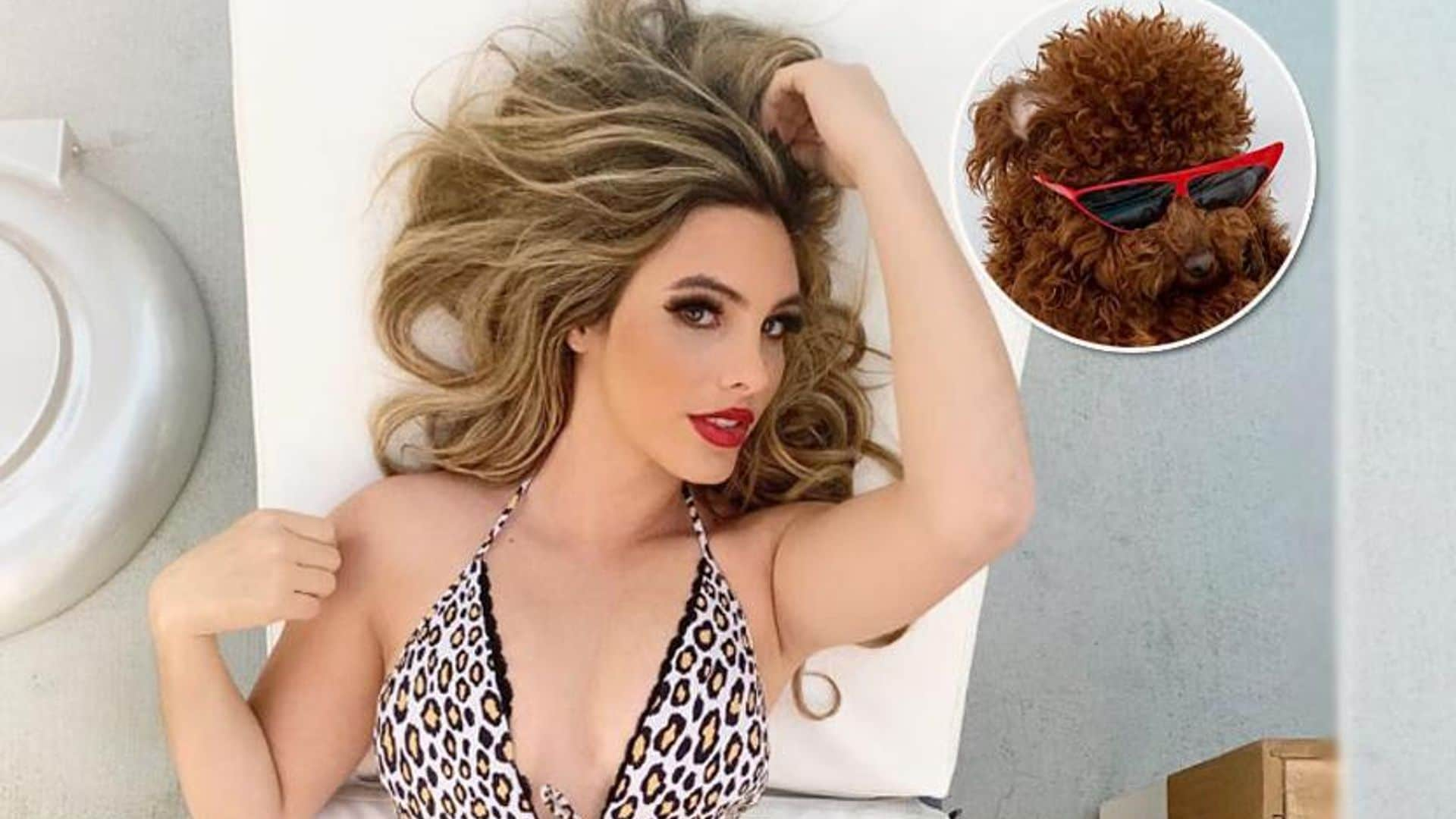 Lele Pons' swimsuit pic hilariously photobombed by adorable pet dog Toby