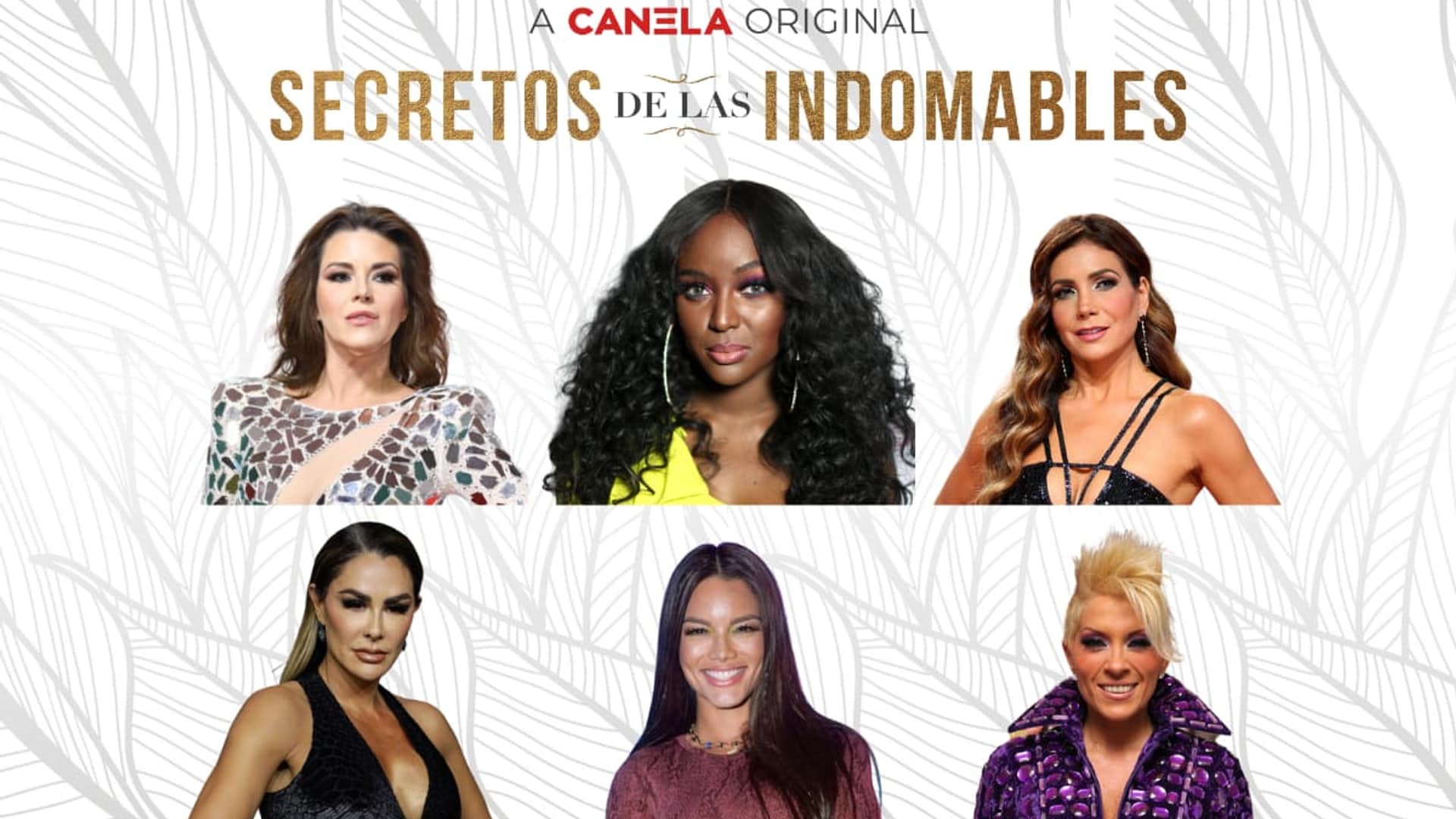 Canela.TV unveils all-star cast for reality series 'Secretos de las Indomables'