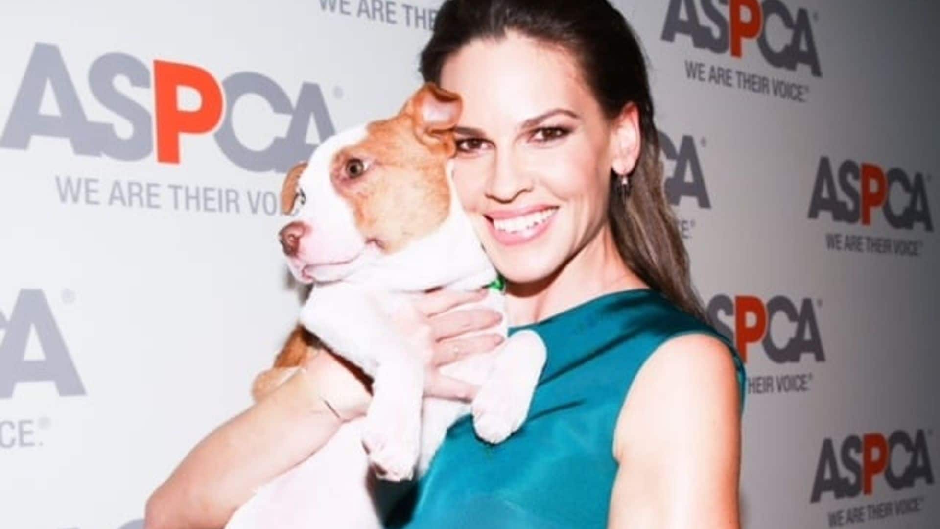 April 9: Hilary Swank held an adorable pup at ASPCA'S 18th Annual Bergh Ball in New York City.
Photo: WireImage