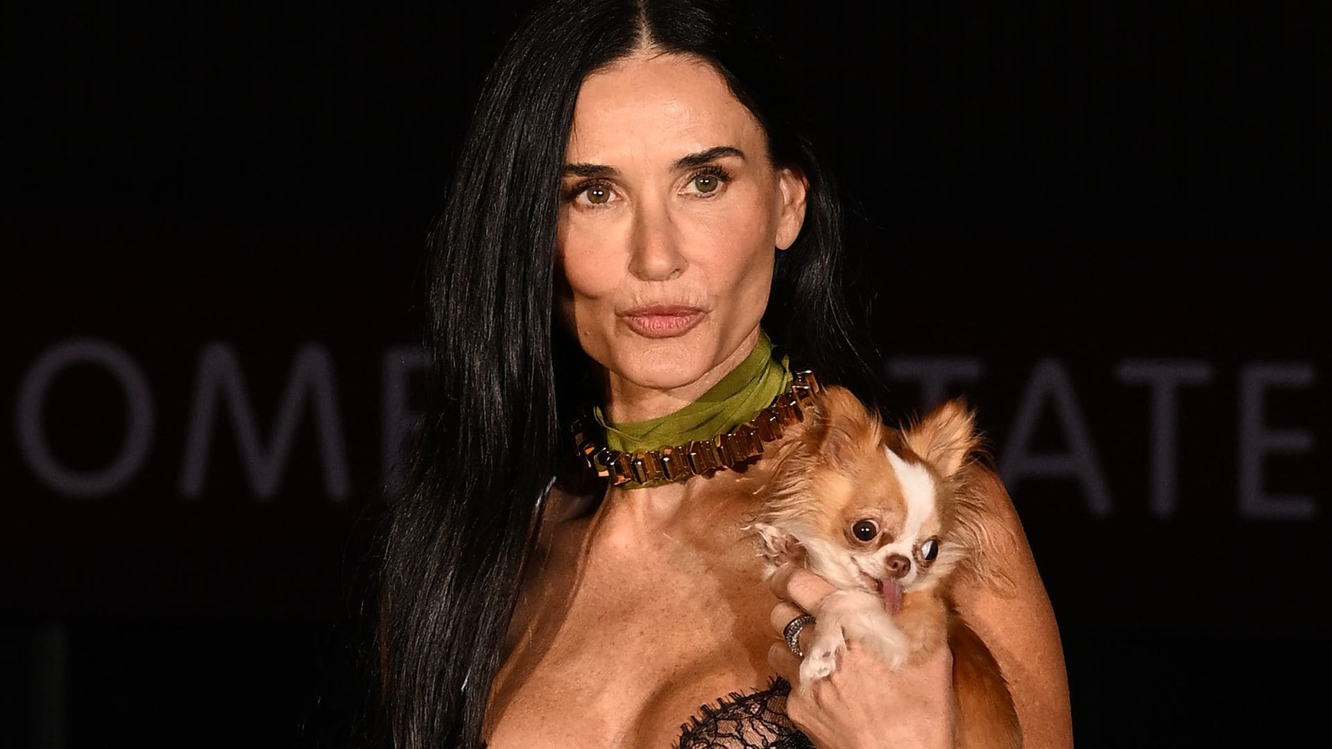 Demi Moore and her dog Pilaf go viral: 'The weird little dog adds to her aura'