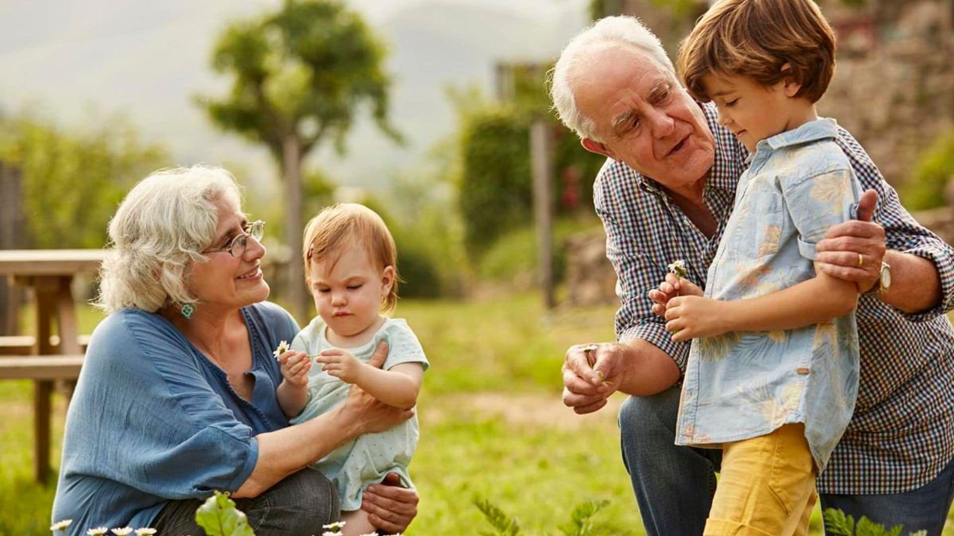 Kids prefer advice from their grandparents over their own parents