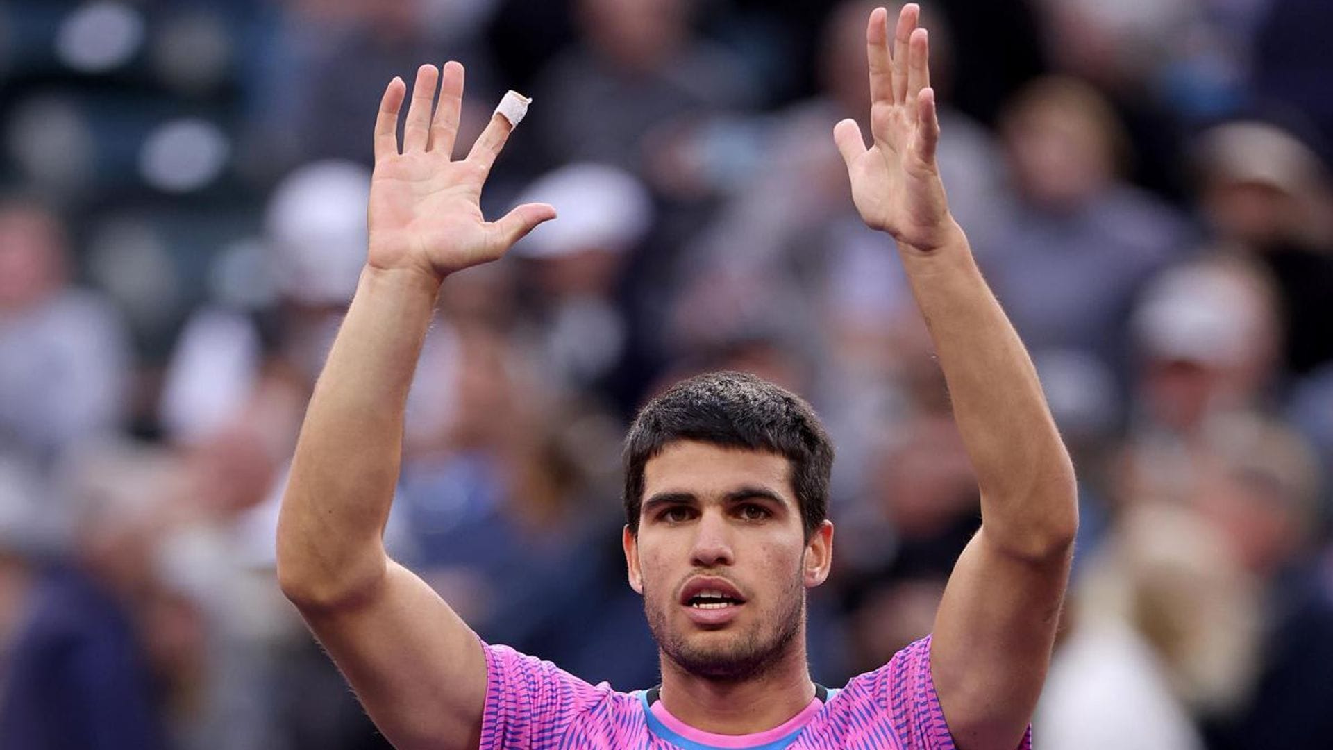 Carlos Alcaraz gets stung during a bees invasion at Indian Wells