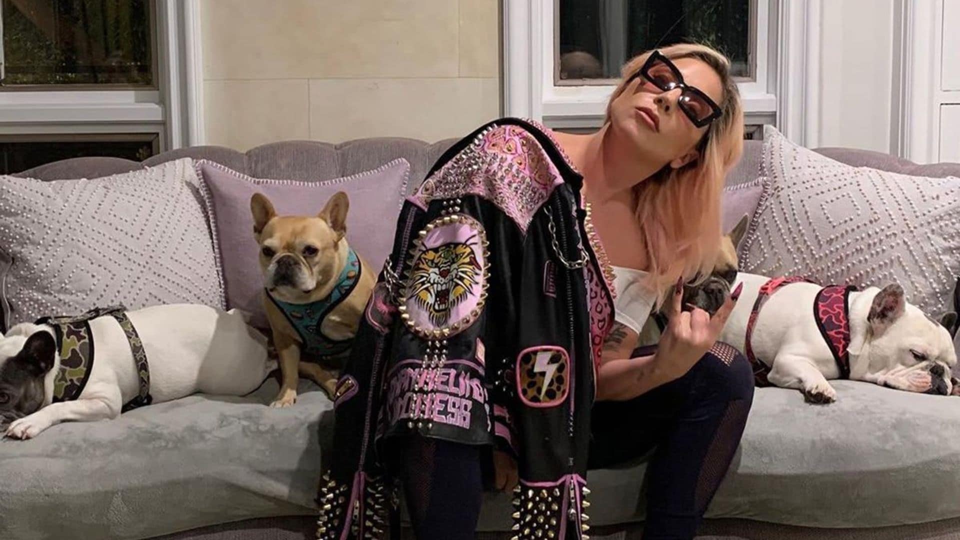 Lady Gaga’s missing dogs found after dog walker shot