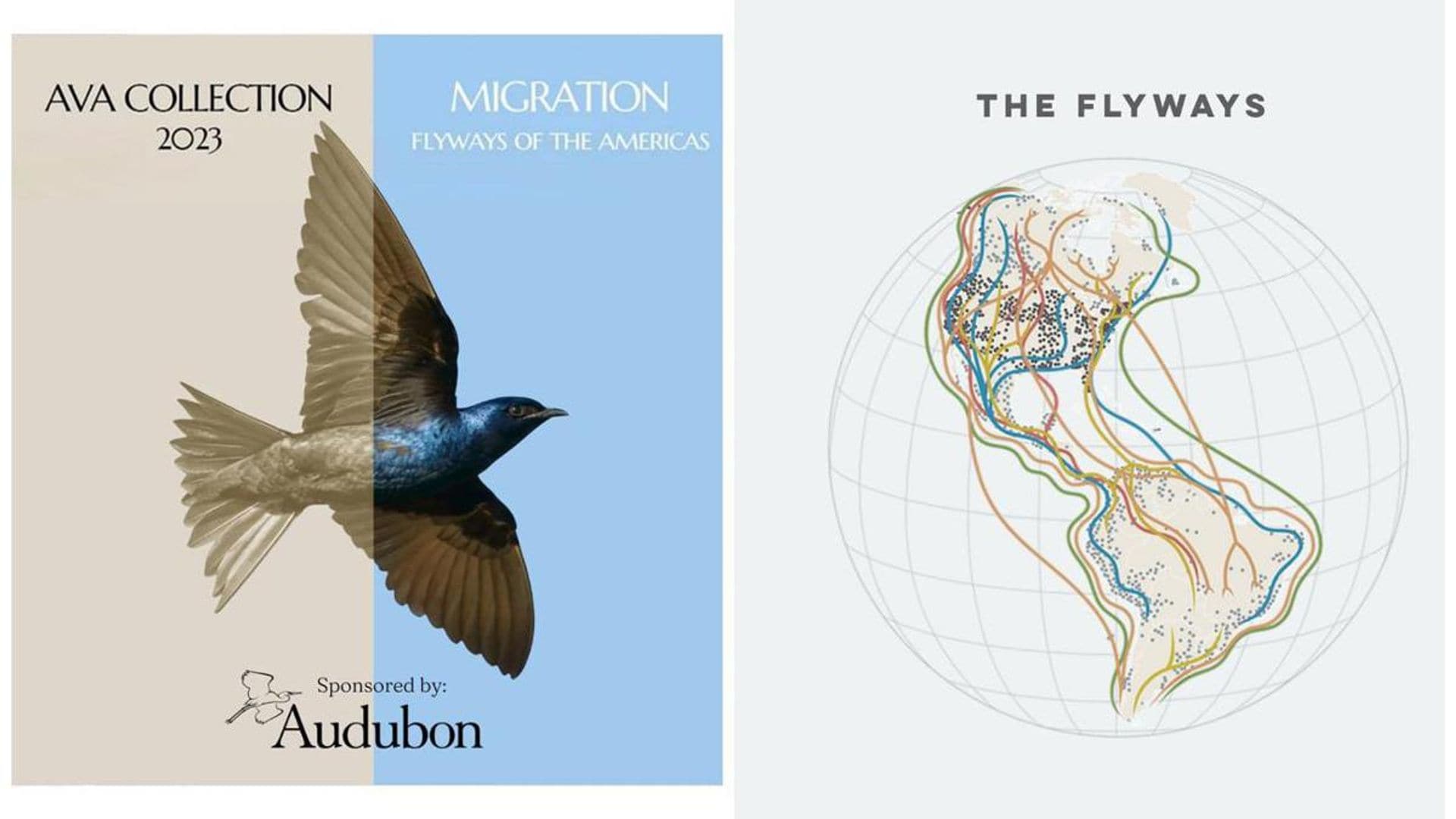 AVA Collection & Silent Auction 2023: "MIGRATION: Flyways of the Americas"