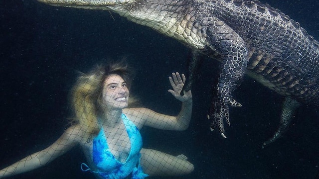 Lele Pons swims with alligators