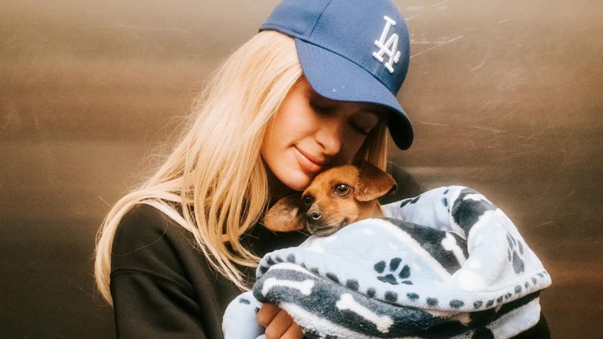 How Paris Hilton helped save dog in LA fires: 'During one of the most heartbreaking times'