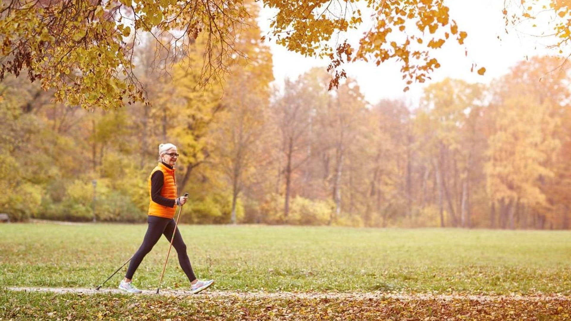 Fast and fun, Nordic walking could be just the activity you need