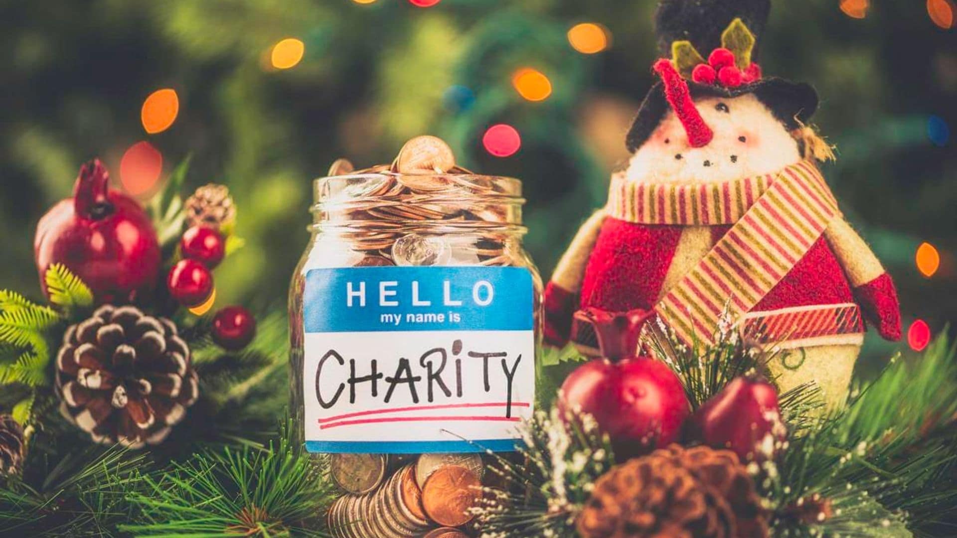 Five charitable causes you can securely donate to this holiday