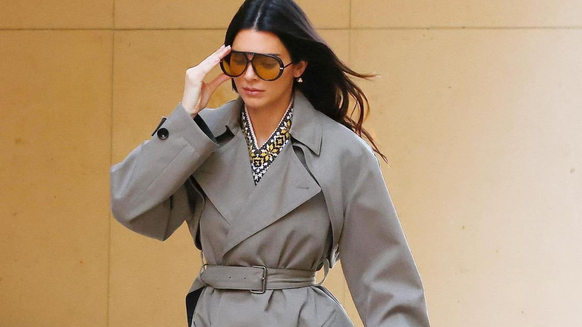 Kendall Jenner wears head-turning look while walking her dog in Beverly Hills