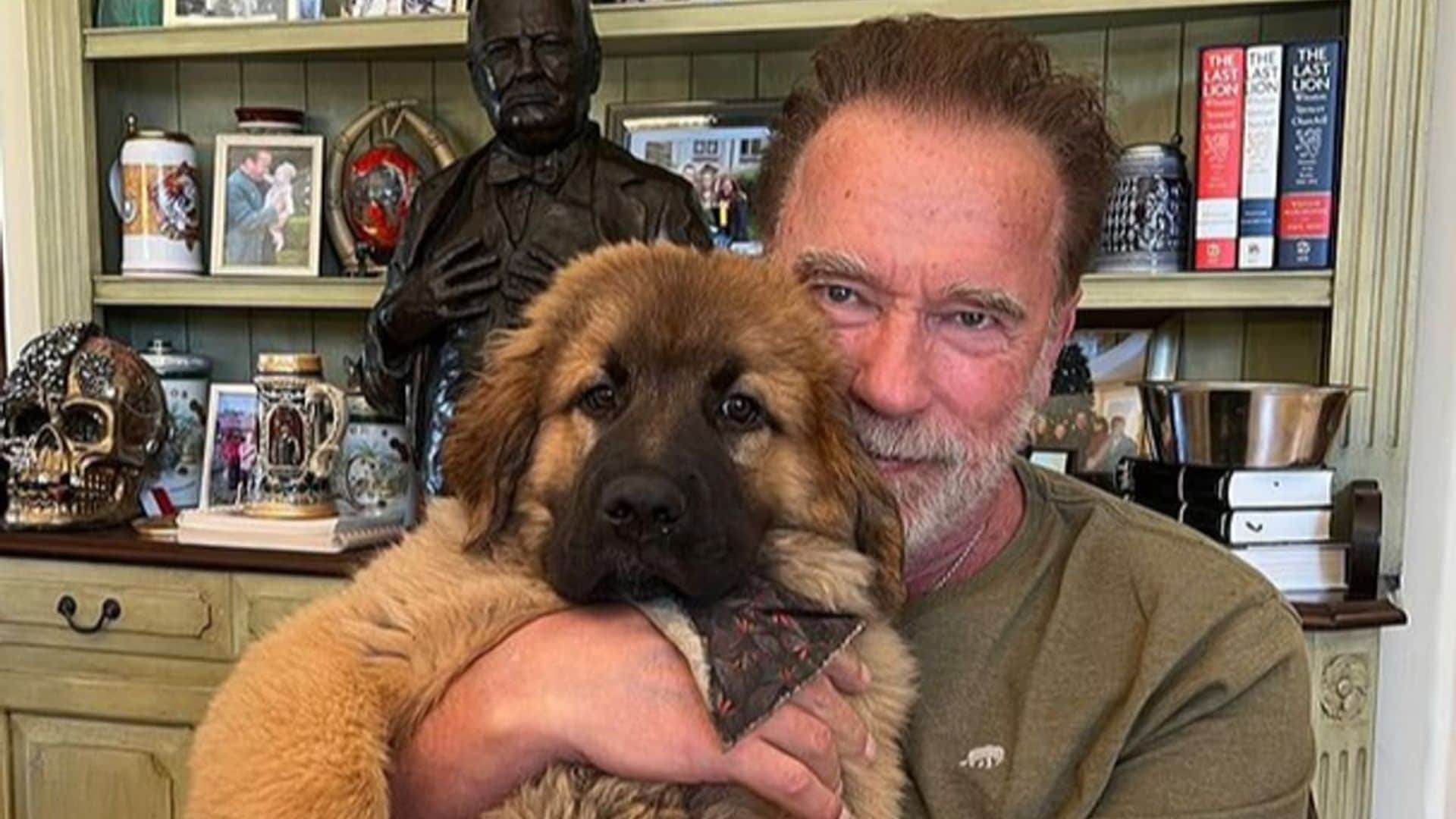 Arnold Schwarzenegger introduces adorable new family member