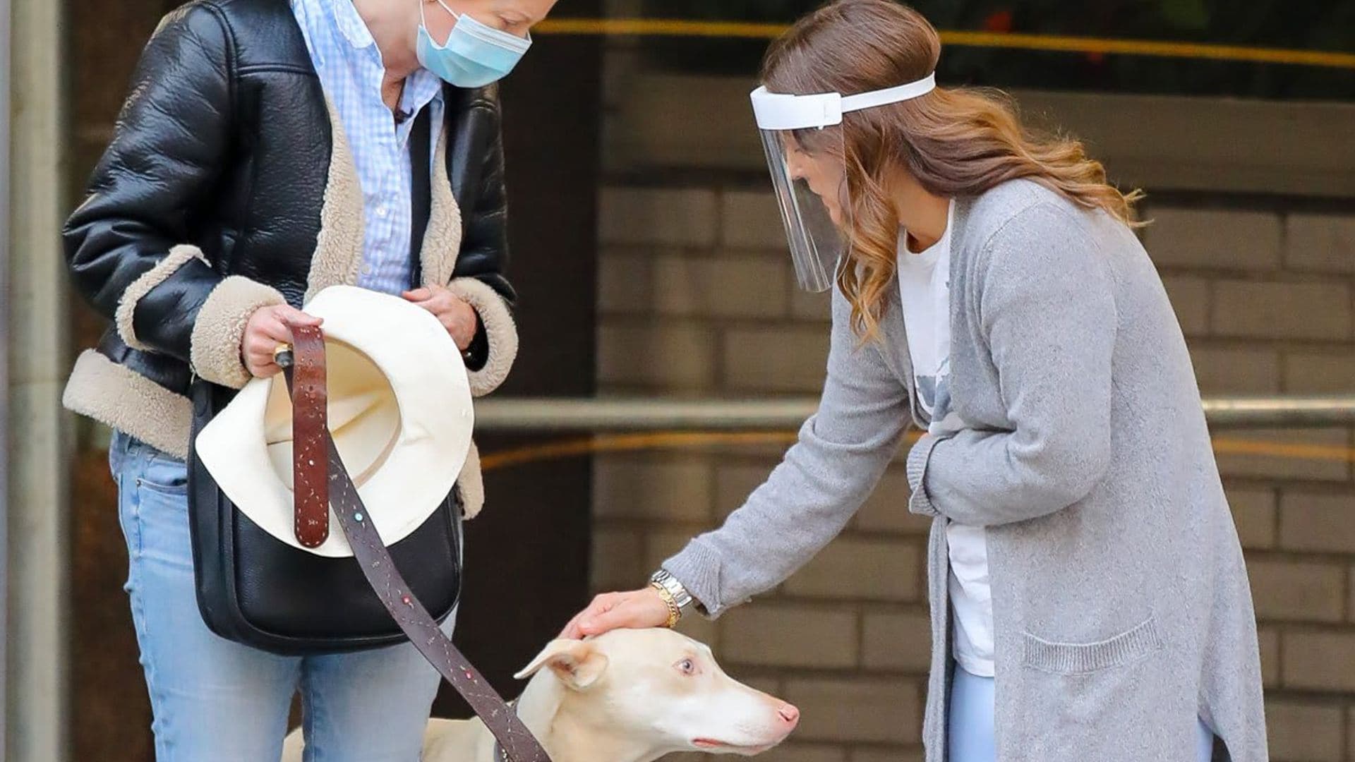 Drew Barrymore helps rescue a dog that was struck by a car in Manhattan