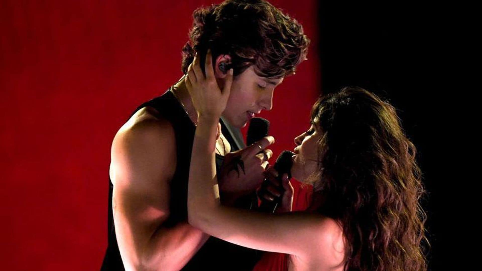 Camila Cabello responds to fan's opinion about her PDA with Shawn Mendes