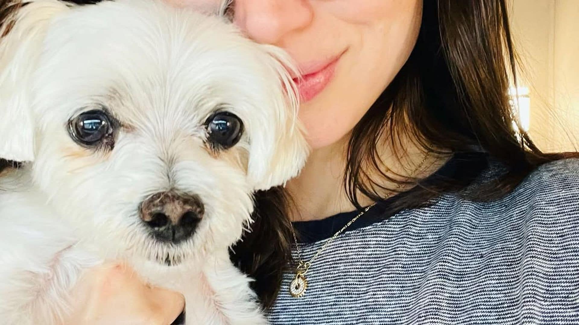 [Pet of the week] Elvis, Ana de Armas 'precious' dog, turns 17: 'My friend and companion'