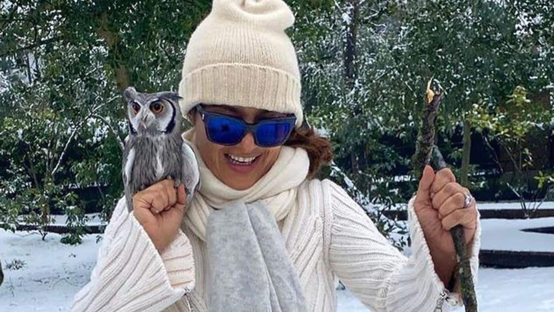 Salma Hayek’s pet owl Kering loves expensive wine and sleeps with her at night sometimes