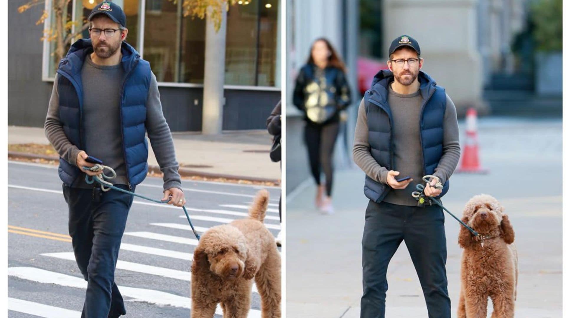 Ryan Reynolds enjoys a walk in NYC with Blake Lively’s fluffy dog Penny