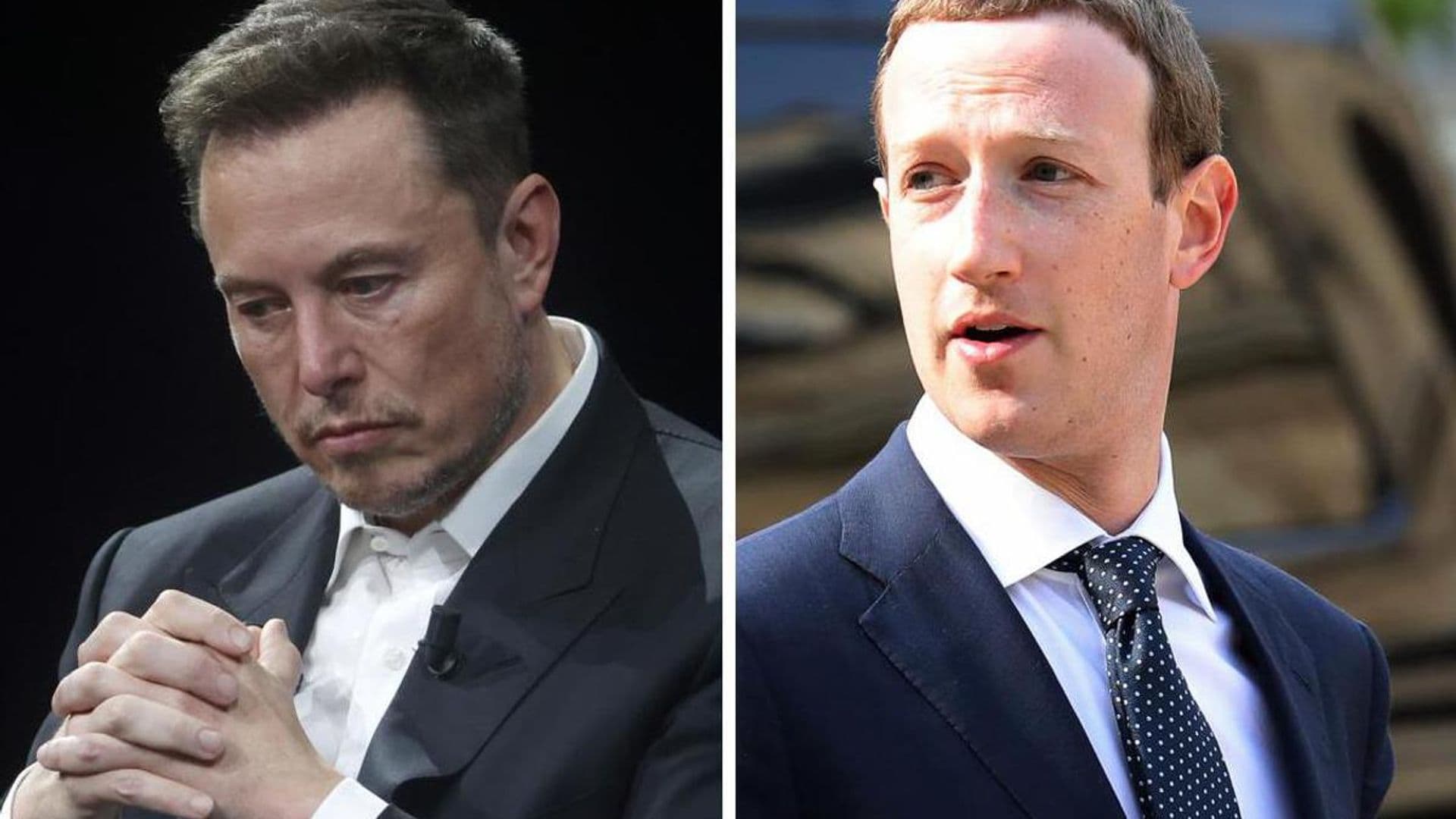 Elon Musk claims Mark Zuckerberg is the one backing down from their fight