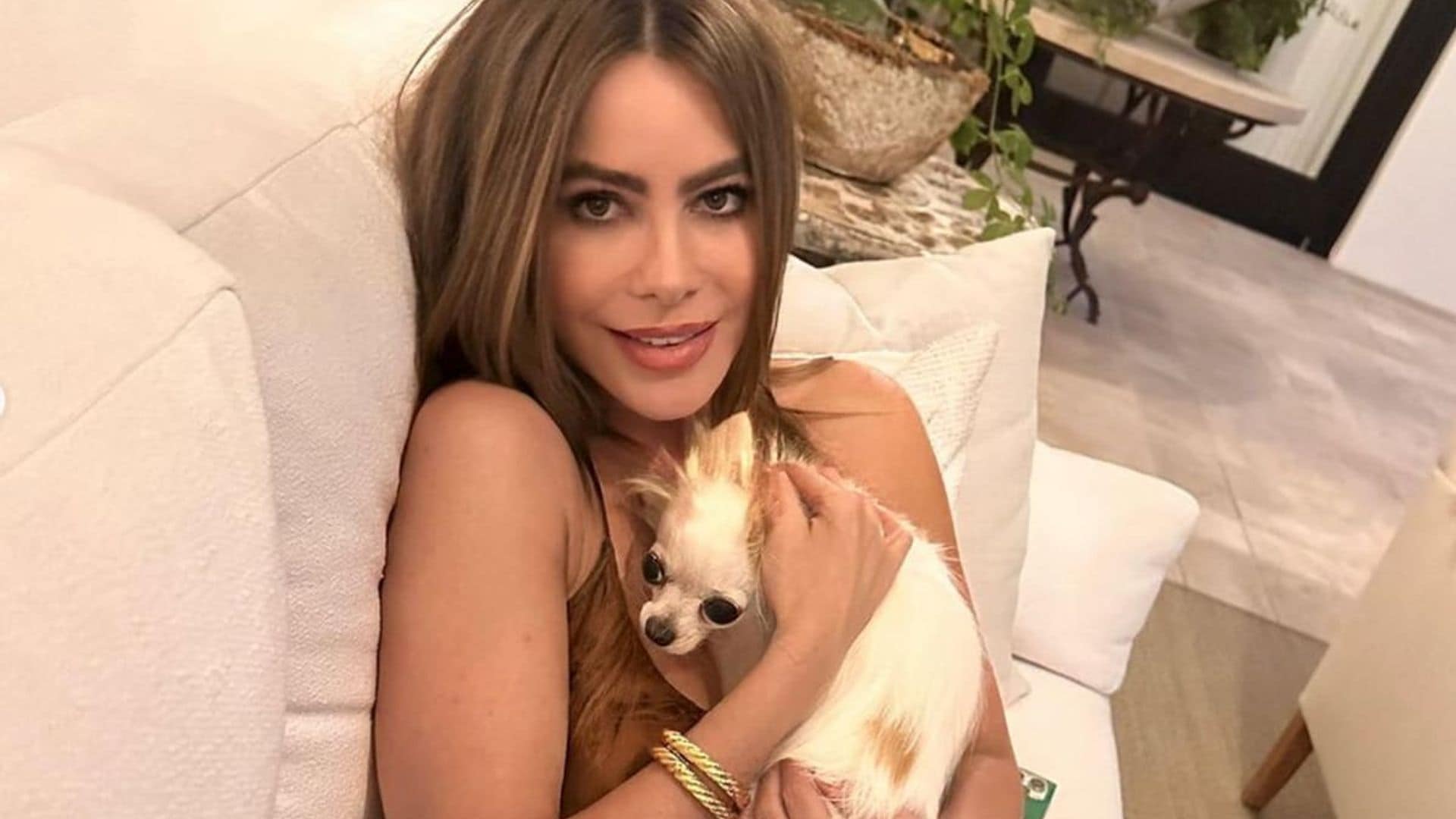 Sofia Vergara poses with new dog after giving full custody of Bubbles to ex Joe Manganiello