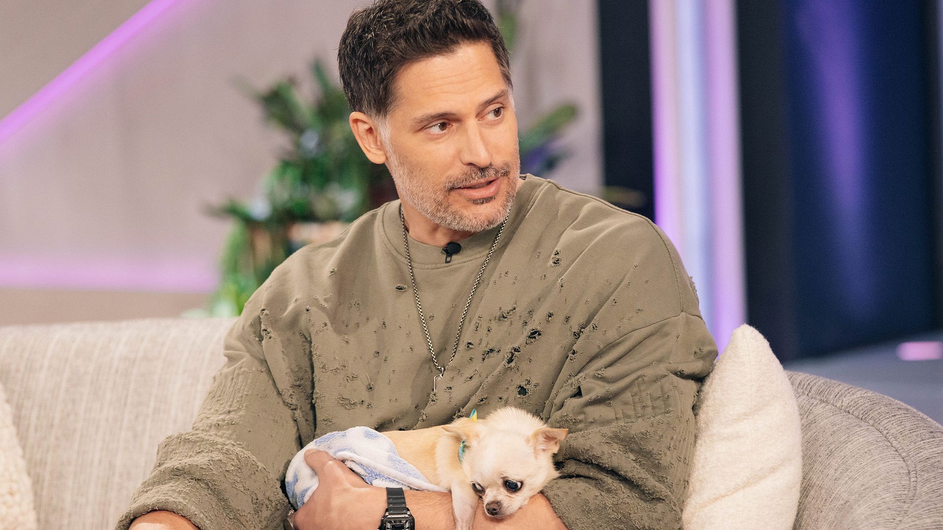 Joe Manganiello talks about Bubbles, his dog with Sofia Vergara: 'The cutest chihuahua'