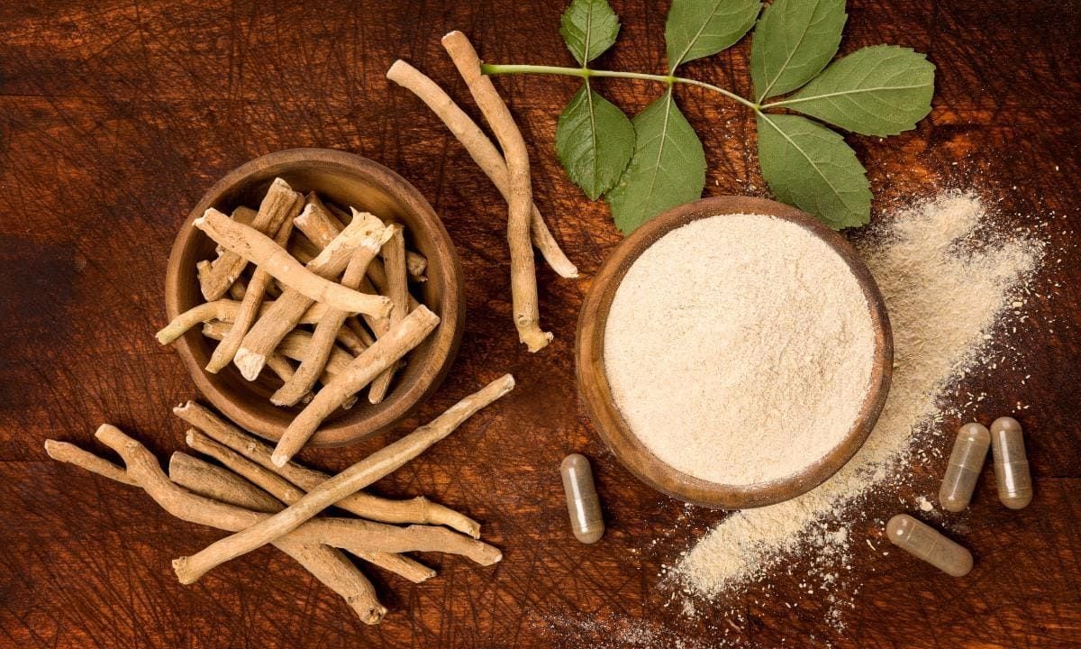 Also known as Indian ginseng or winter cherry, Ashwagandha is a medicinal herb renowned for its significant role in traditional Indian medicine.