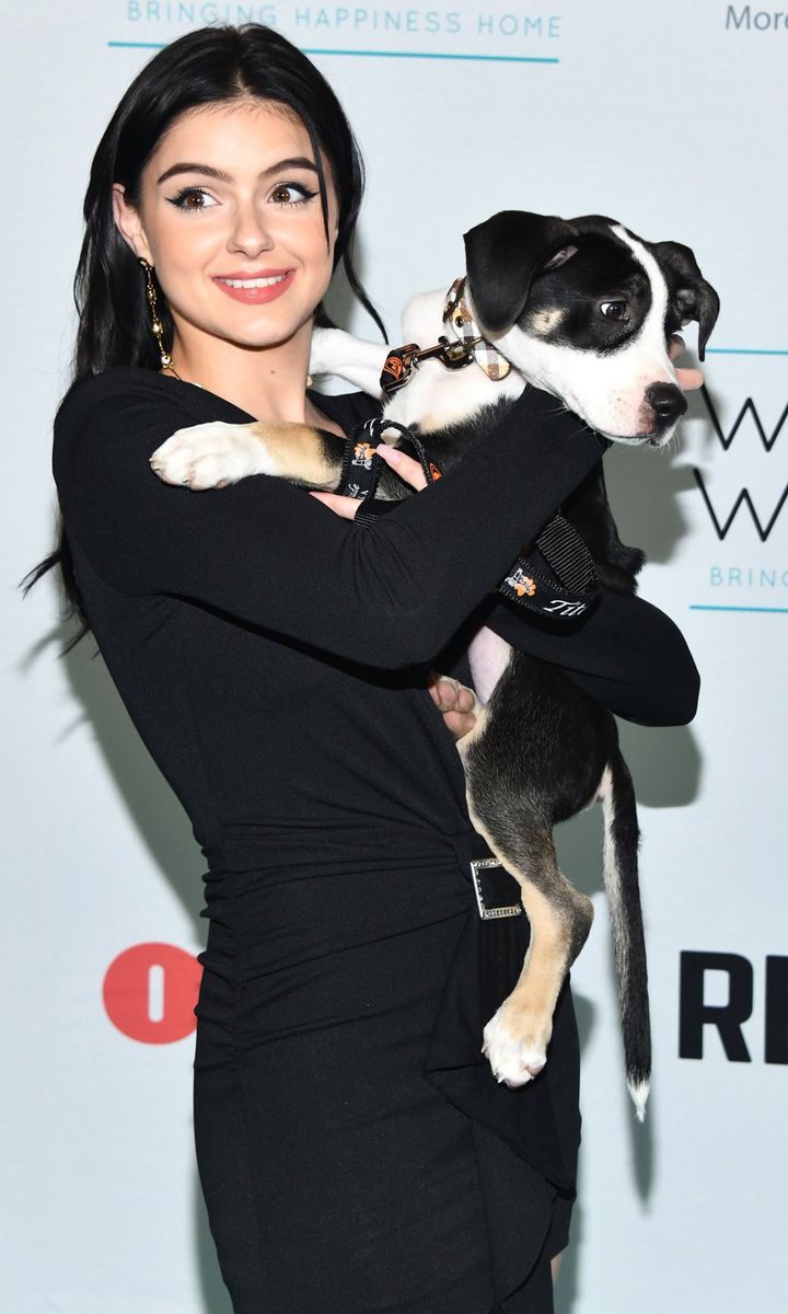 Ariel winter is a dog lover