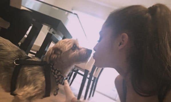 Ariana Grande is completely head over heels in love with her little pooch Strauss. She recently posted this picture captioning it, "You can't even imagine how this little one has changed my life. #strauss #themouse."
<br>Photo: Instagram/@arianagrande