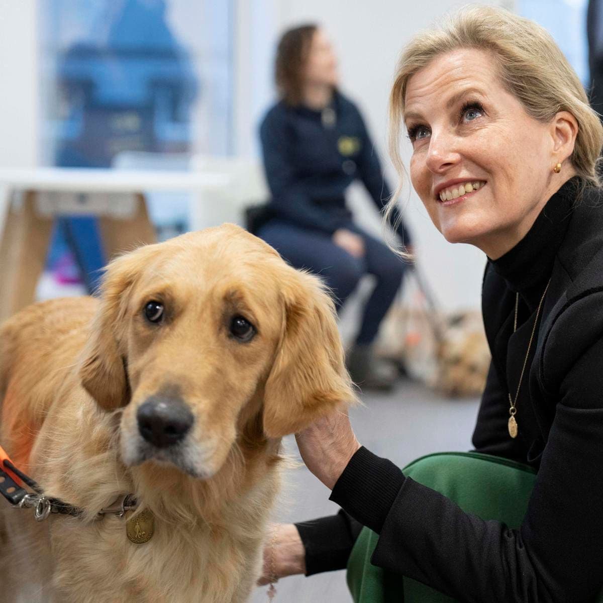 The Countess Of Wessex Visits The Guide Dogs Hub In Reading