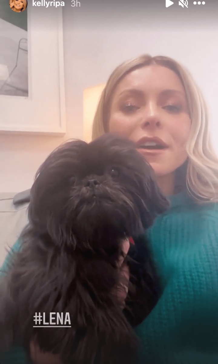 Kelly Ripa new puppy