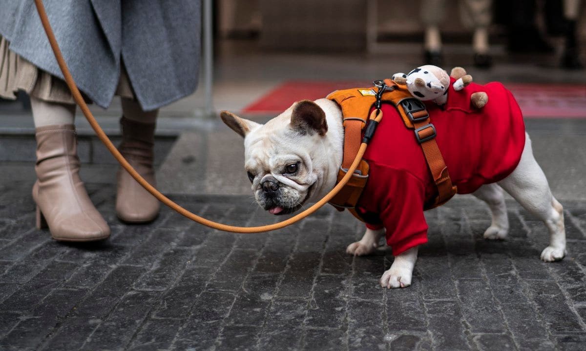 Chinese New Year In Wuhan