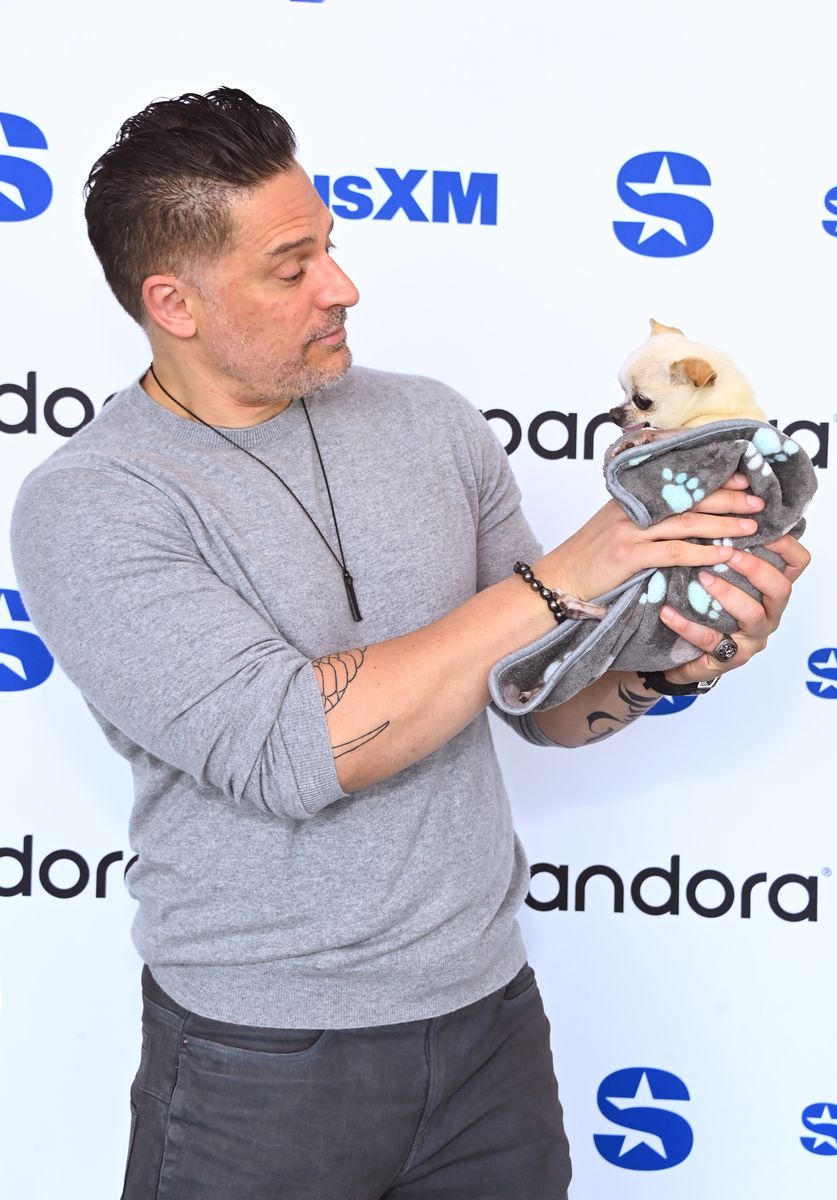 Joe Manganiello and Bubbles visit The SiriusXM Studio