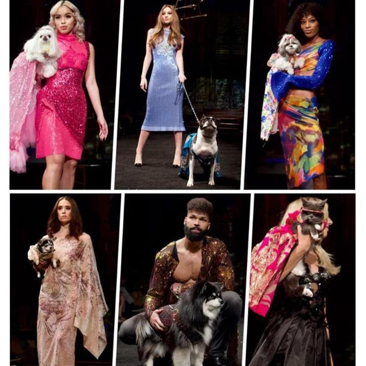 Anthony Rubio’s Canine Couture show.