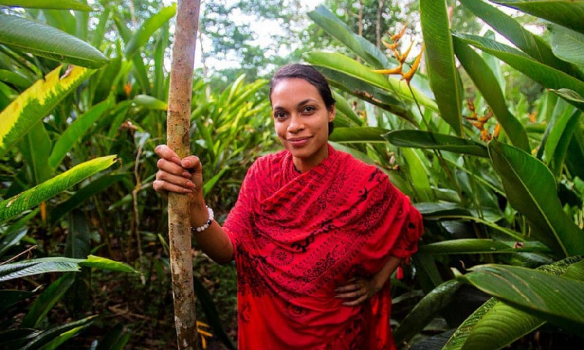 Rosario Dawson