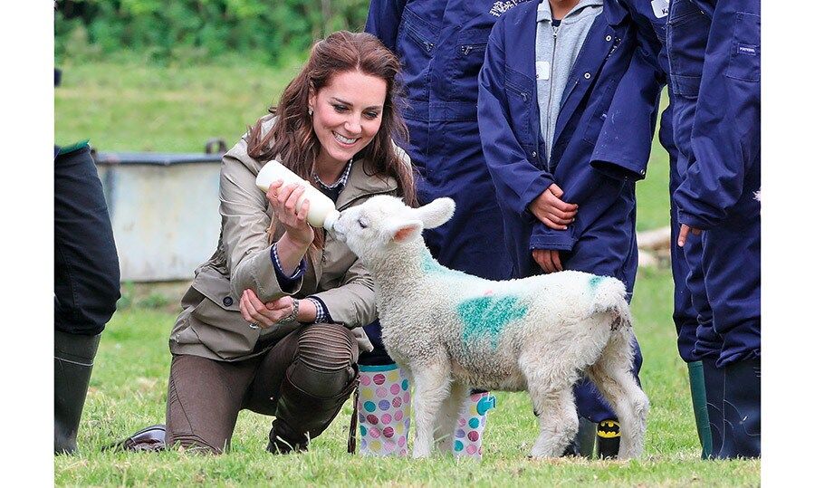 KATE'S HAY DAY
The Duchess of Cambridge tugged on everyone's heart strings while visiting with schoolchildren at a farm in Gloucestershire, where she stopped to feed an adorable little lamb. "She said she has lots of animals at home a dog, a hamster and chickens," said a 10-year-old student who Kate made the time to chat with.
Photo: Getty Images