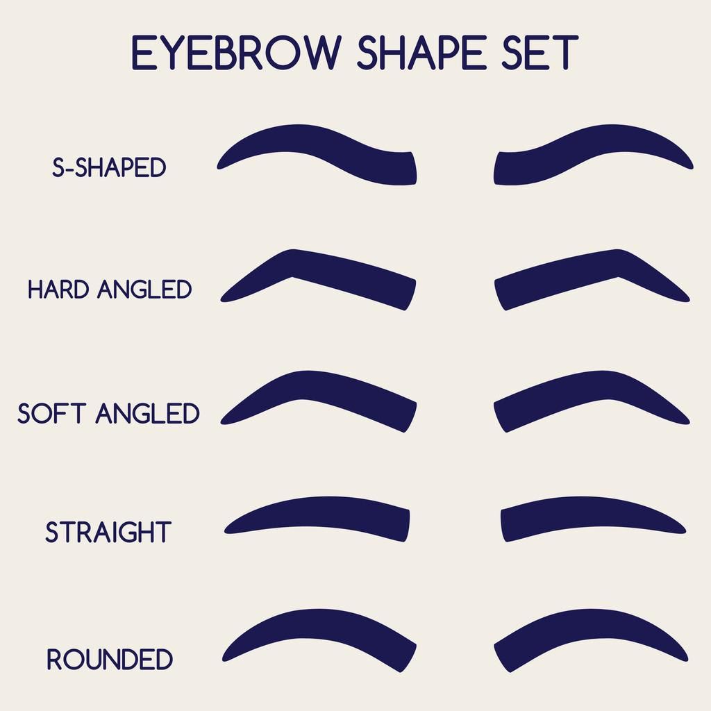 female eyebrows shape guide