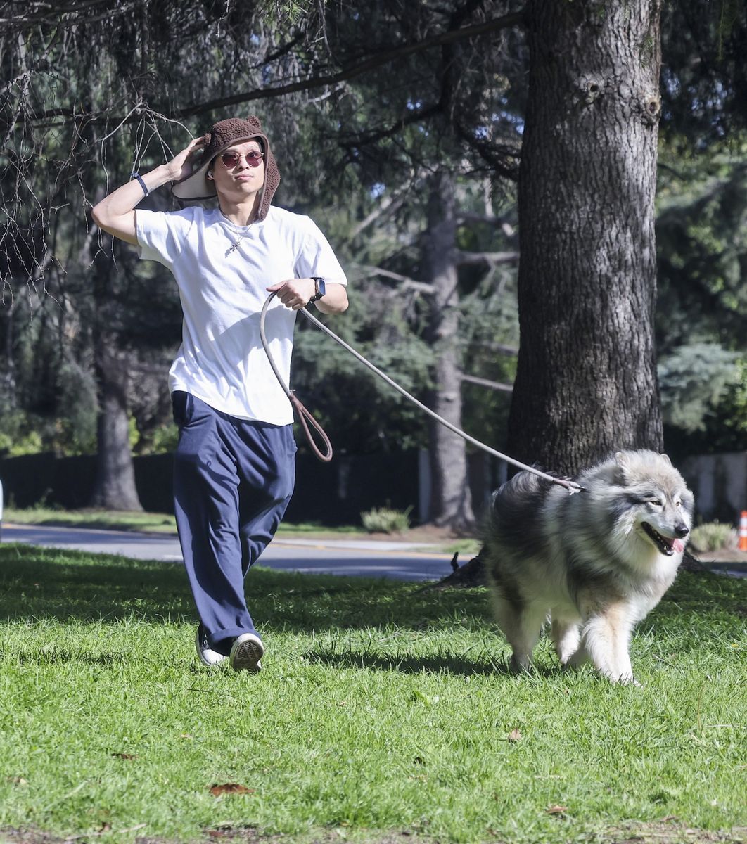 Photo © 2025 Backgrid/The Grosby Grou p

EXCLUSIVE Los Angeles, CA. February 15, 2025.
Voice actor Pax Jolie-Pitt was spotted taking a leisurely stroll with his dog in Los Angeles. The star, sporting a bear hat on his head, looks low-key as he spends some quality time with his furry companion. Pax completes his outfit with baggy pants and a white t-shirt.
****
El actor de doblaje Pax Jolie-Pitt fue visto paseando tranquilamente con su perro en Los Ángeles. La estrella, que luce un gorro de oso en su cabeza, se muestra discreta mientras pasa un buen rato con su peludo compañero. Pax completa su outfit con pantalones anchos y una camiseta blanca.